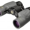 Leupold Binocular Bx1 Yosemite 6X30 Sg Shadow Grey 172703