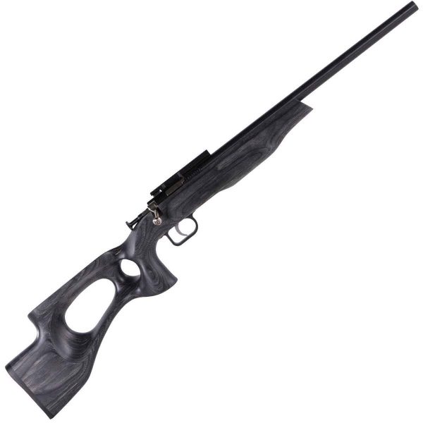 Crickett Ex Thumb Hole Stock Blued Black Laminate Bolt Action Rifle - 22 Long Rifle Crickett Ex Thumb Hole Stock Rifle 1506277 1